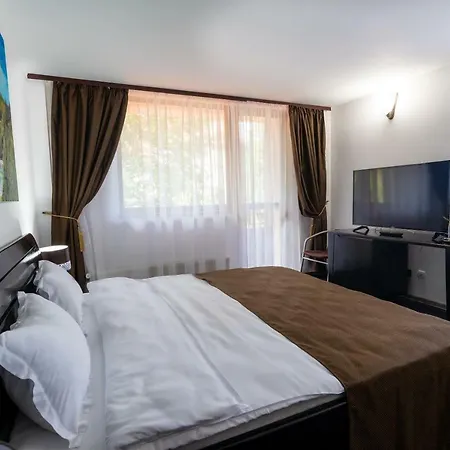 Hotel Pensiunea Admiraz 4*